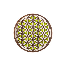 Wallity Geometric Accesorio decorativo de pared